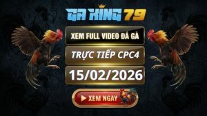 Xem Full Clip Da Ga Truc Tiep CPC4 Ngay 15022026 3
