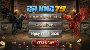 Xem Full Clip Đá Gà Bồ CPC3 Ngày 17/05/2026