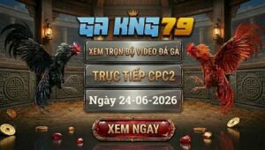 Xem Full Video Đá Gà CPC2 Ngày 24/06/2026 Tại GAKING79