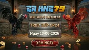 Xem Full Video Đá Gà CPC4 Ngày 15/06/2026 Tại GAKING79